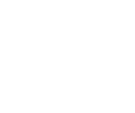 Pilot