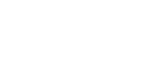duo